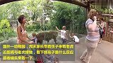 熊孩子近距离看老虎，这体型与斑纹，霸气侧漏！