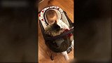 猫咪真是太粘人了，特别是宝宝，太有趣了！