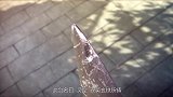 太乙仙魔录：两句话不对，柳红烟和燕浣又打起来了