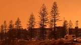 澳大利亚森林大火还在烧 整片天空都变成橘红色
