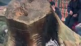 一群男子围在一起，烧树桩烤火取暖