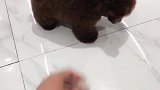 谁说茶杯养不活的。五个月嘞