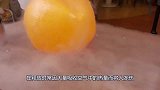 零下200度的液氮有多可怕？看看这条鱼的下场，你就明白了！