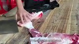河北老农猪圈离奇丢猪，无奈选择报警，专家赶到后乐开了花