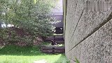国外搞笑失误合集，老外作死方式花样百出