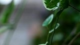 人生就是这样，不是得到就是学到