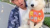 开心和主人拾金不昧,看结果发生了什么,你们都忍住别笑