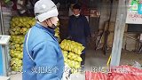 天凉了，教你农村传统腌芥菜疙瘩的方法，学会这技巧，放一年不坏