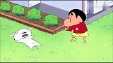 蜡笔小新：小白预感成真，被家人带去打针，死都不出狗窝