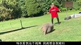 这点难度还想难倒我，不知道我绰号是爬墙小能手吗，笑掉大牙