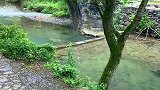 生活在这里，环境太好了