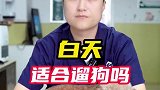 中午大家一定要谨慎遛狗，很多狗狗不耐高温