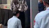 张翰过安检，身材实在太好了，安检小姐姐淡定，难道不认识他吗