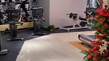 一直没停过，尽力了。