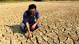 江西九江连发干旱红色预警 600多亩油茶林面临干旱