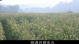 档案村花不甘心嫁给丑瘸子，跑进玉米地，终于忍不住爆发了