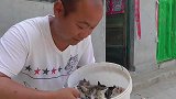 家里养十几个小猫咪，太多了，养不了，免费领养开始啦