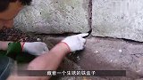 小哥在后院挖出一个“神秘”盒子，打开一看，实在是幸运