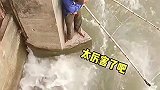 大爷选的风水宝地呀