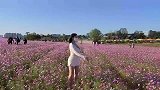 好大一片花园啊！
