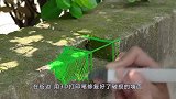 神奇的3D打印笔，还能给鸡蛋做盔甲？网友：还有这种操作？