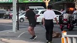 在街上拉狗，不知道的还以为是偷狗的！