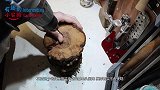 老外淘回一块异形木头，用超牛工艺将肿瘤木头给制作成了精美木杯