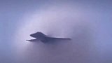 百公里一个中石化