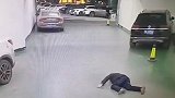心疼！被多台手术累垮 医生下班后站着睡着磕断两颗门牙