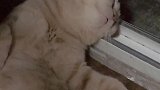 你是喝醉了吗？