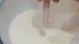 面条做出樱花树的样子，就算穷的只能吃面条也要有仪式感