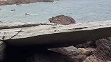 海水退潮看见许多海胆，不少游客上手采摘