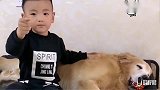 金毛和小孩互相陪伴，金毛伴随小孩慢慢长大，小孩陪金毛慢慢变老
