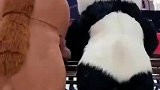 主要还是吃太饱