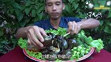 巨型福寿螺，印度牛人一口吃进去7000只寄生虫，顿顿都吃！