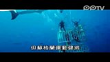 大胆摄影师12米深水底拍摄大白鲨