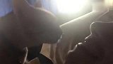 一只粘人的猫，主人还没起床，就缠着要亲亲