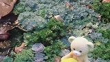 如果被爱情伤害了，来丽江疗伤吧！