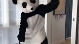 英超-1718赛季-三爷穿熊猫装跳舞庆祝法国队夺冠 呼吁对种族歧视说不