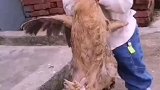 这小老弟能成事儿啊