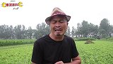 爆笑喜剧：憨货给二叔要账，不料俩人竟合伙套媳妇的钱，结局爆笑