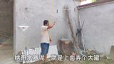 小凯反悔没去拜访岳父，对象大发雷霆让我给岳父道歉，我哪里错了
