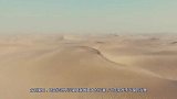 塔克拉玛干沙漠新发现，科学家考察时，发现一个巨大“宝库”