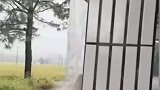 不要动手改程序当出现时，这个的建议让我大开眼界