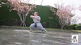 小萌娃水中里合腿踢出高度，少林拳打的行云流水，功夫真好