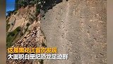 黑龙江首次发现大面积白垩纪恐龙足迹群：5条行迹共70个足迹