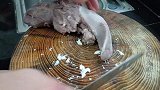 猪舌头别再炒了，试一试这种新吃法，比炒的更好吃，太美味了！