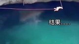 阎王：什么东西在我这一闪一闪的！