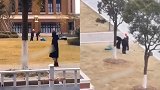 上海一高校抓捕流浪狗后套袋打死 校方：涉事保安已停职