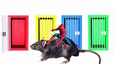 老鼠把钢铁侠，蜘蛛侠和绿巨人锁在了笼子里，少儿认识颜色